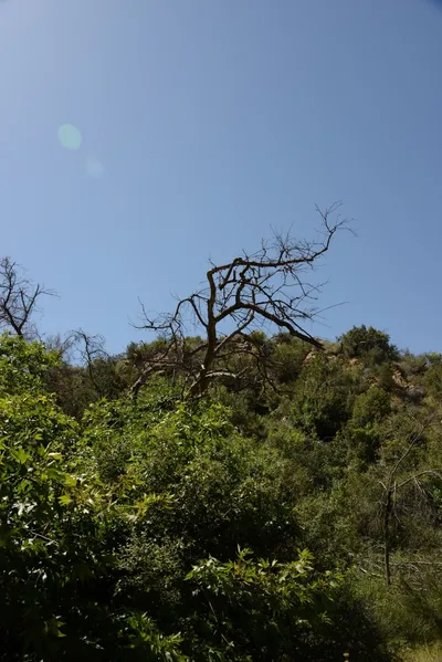 DSC_1628 (Large).JPG